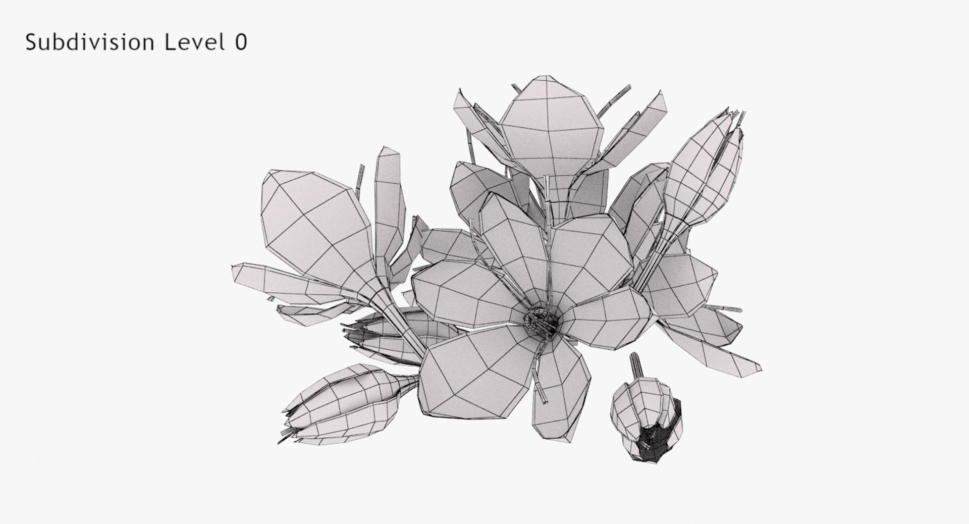 3D crocus blossom https://p.turbosquid.com/ts-thumb/1t/rdfFlk/u9C58ULj/turn_wire/jpg/1561563481/1920x1080/turn_fit_q99/afaa5f2629e67192263fd016c5ffb038a0ea6558/turn_wire-1.jpg