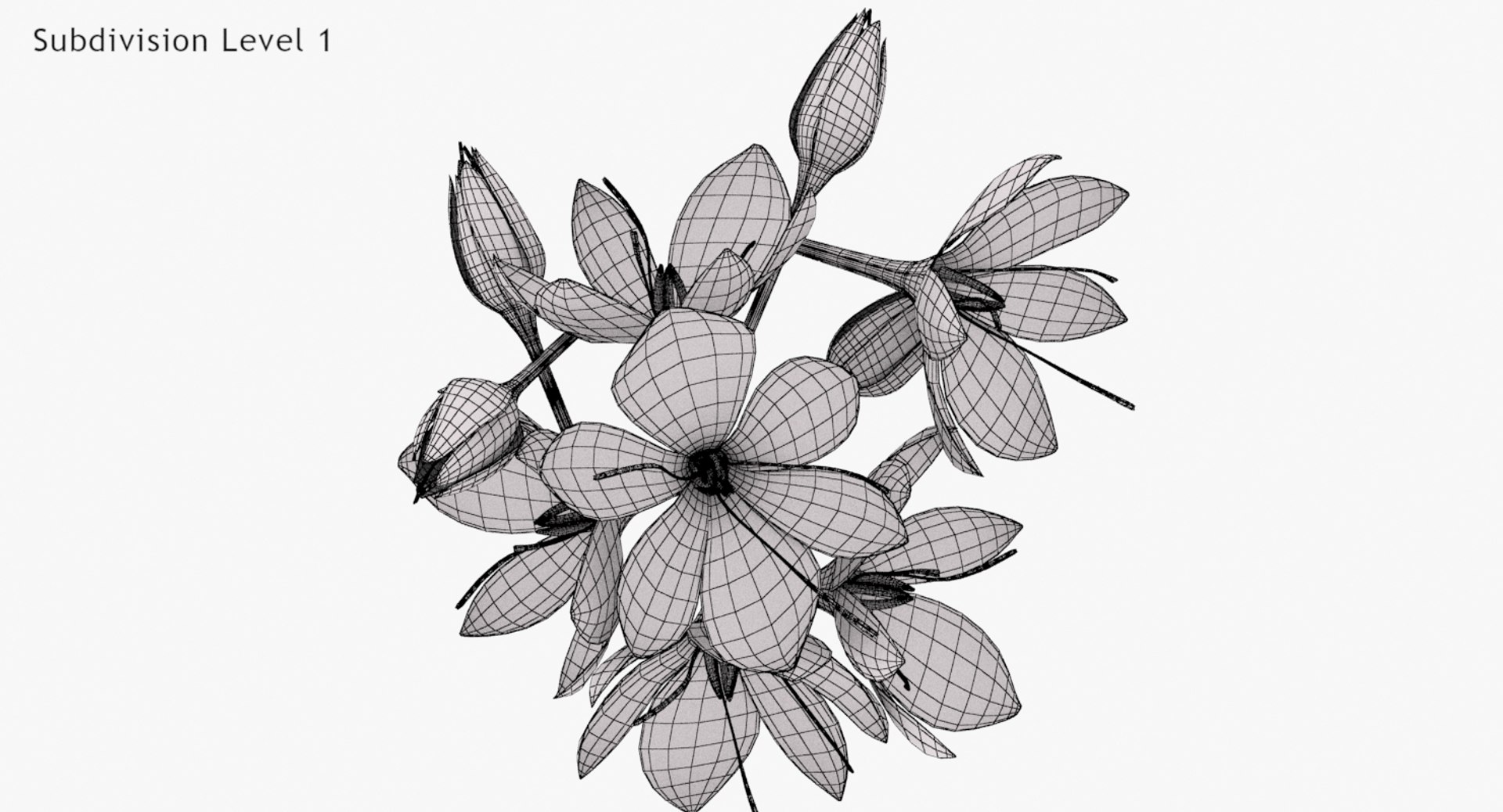 3D crocus blossom https://p.turbosquid.com/ts-thumb/1t/rdfFlk/zrWIuy7j/un_lodone0003/jpg/1563696018/1920x1080/fit_q87/78e833d64c044bb045e8eb5d85875fc6a0c4a8ff/un_lodone0003.jpg