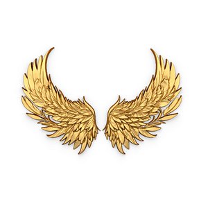 3D Wings Printable carved decor 04