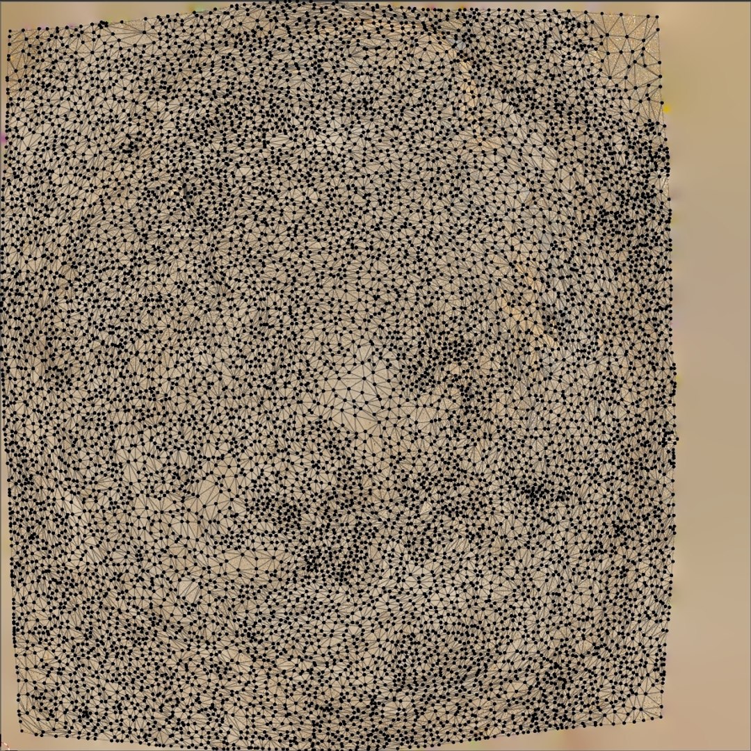 Namibian Termite Nest Mound 01 - Scan 3D model https://p.turbosquid.com/ts-thumb/1t/zeYqGX/nX/uvs/jpg/1676389334/1920x1080/fit_q87/6b897e72be9f9f8d4dfd0e858788cd32ca6f68ee/uvs.jpg