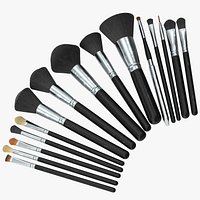 Makeup Brush Set
