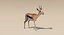 Gazelle (Fell) animiert