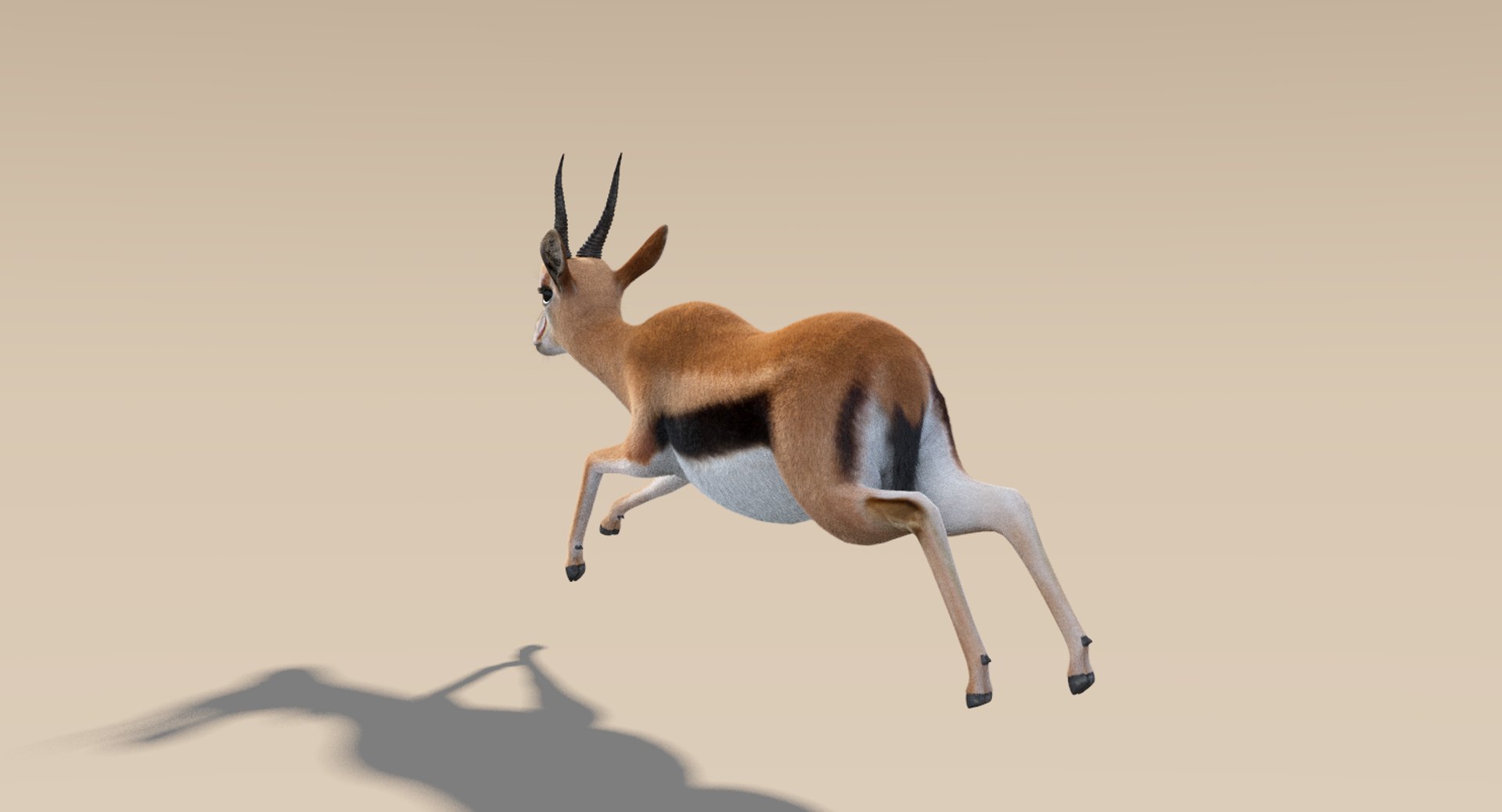 3D gazelle fur animation rig model https://p.turbosquid.com/ts-thumb/1u/D0MaPg/L6wlPfcN/thomsongazelle6/png/1516891009/1920x1080/fit_q87/9f91dff600432d1b36329d37f062f41d2bb4d5ff/thomsongazelle6.jpg