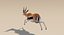 Gazelle (Fell) animiert