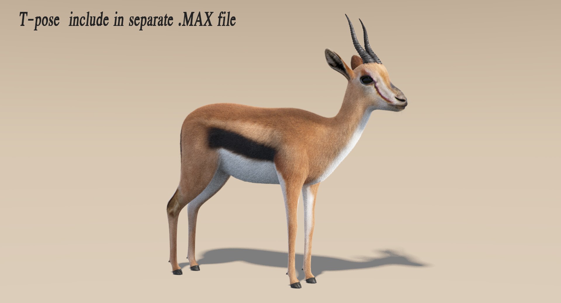 3D gazelle fur animation rig model https://p.turbosquid.com/ts-thumb/1u/D0MaPg/MyzhZRXm/tpose/png/1516982061/1920x1080/fit_q87/008a709dae324eabd08bdc083610c272d7e0979d/tpose.jpg