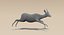 Gazelle (Fell) animiert