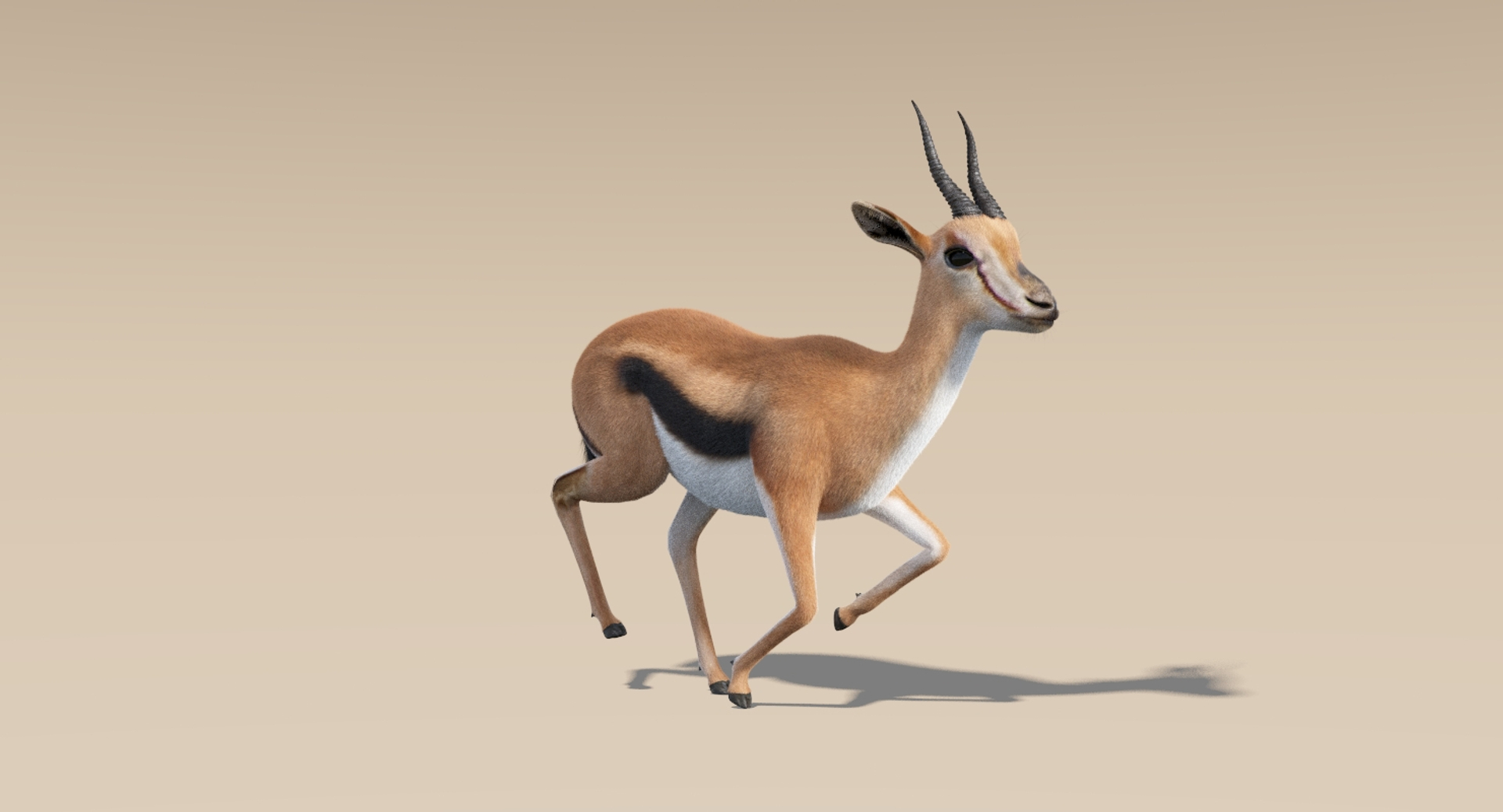 3D gazelle fur animation rig model https://p.turbosquid.com/ts-thumb/1u/D0MaPg/oSGNLjaH/running/jpg/1517198222/1920x1080/turn_fit_q99/498c35a48e4012a8d3113a1dffddcb99f28ee471/running-1.jpg