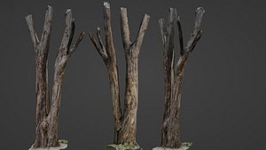 Tree trunks 3D