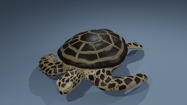 modelo 3d Turtle high poly - TurboSquid 2089112