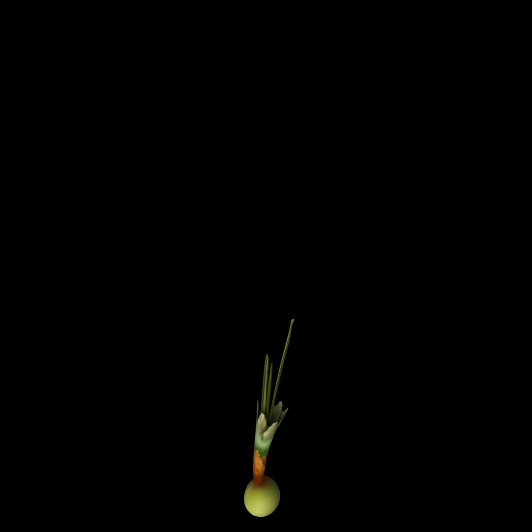 flowers open animation model https://p.turbosquid.com/ts-thumb/1u/QFdiVU/8mpQ2BjS/06/jpg/1593954416/1920x1080/fit_q87/5085ad73d3b2185b69bc2e7e0e0d48f5955df5d9/06.jpg