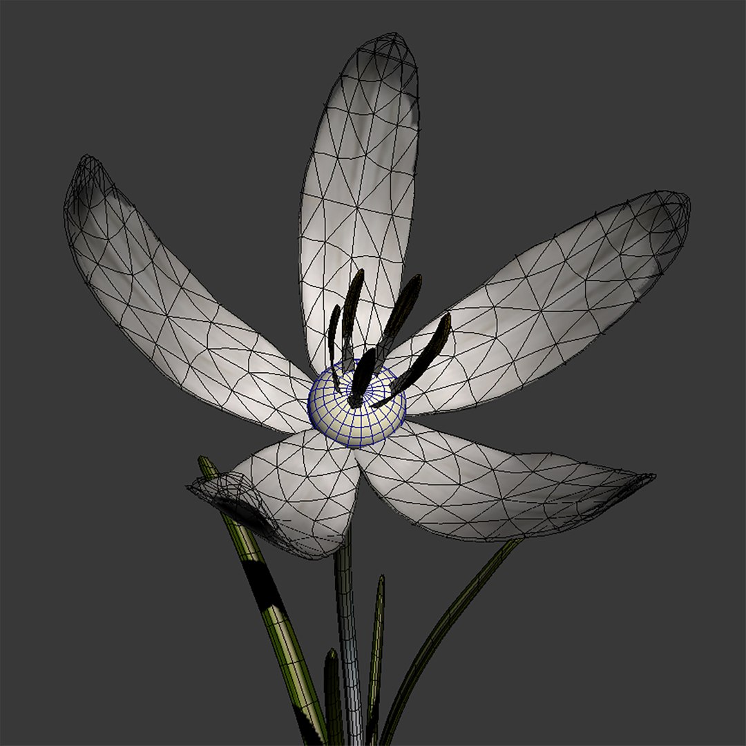 Flowers Open Animation Model - TurboSquid 1586623