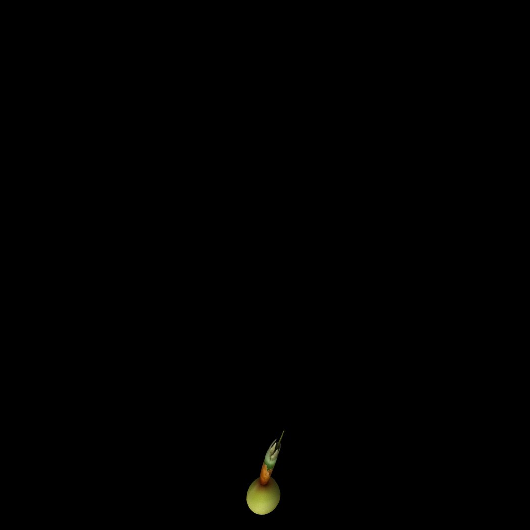 flowers open animation model https://p.turbosquid.com/ts-thumb/1u/QFdiVU/ltMEgGBm/05/jpg/1593954416/1920x1080/fit_q87/7b44d3ccf49480fd6e939db420797158106586c7/05.jpg