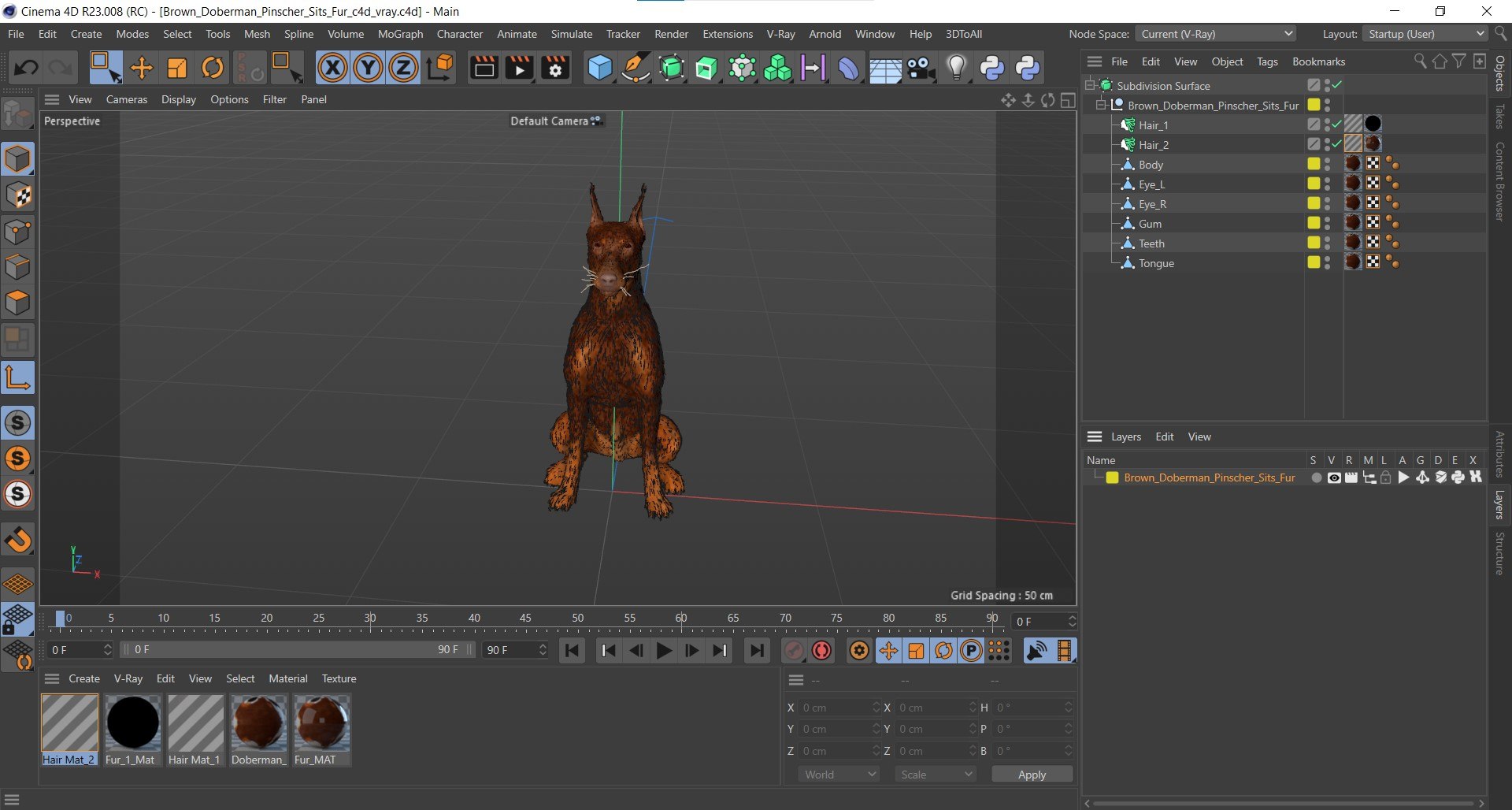 Brown Doberman Pinscher Sits Fur for Cinema 4D 3D https://p.turbosquid.com/ts-thumb/1u/dP0egt/0z/brown_doberman_pinscher_sits_fur_for_cinema_4d_1001/jpg/1745568918/1920x1080/fit_q87/cdacba2e6f426e35d09b6d7437facff6bd87a899/brown_doberman_pinscher_sits_fur_for_cinema_4d_1001.jpg