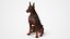 Brown Doberman Pinscher Sits Fur for Cinema 4D
