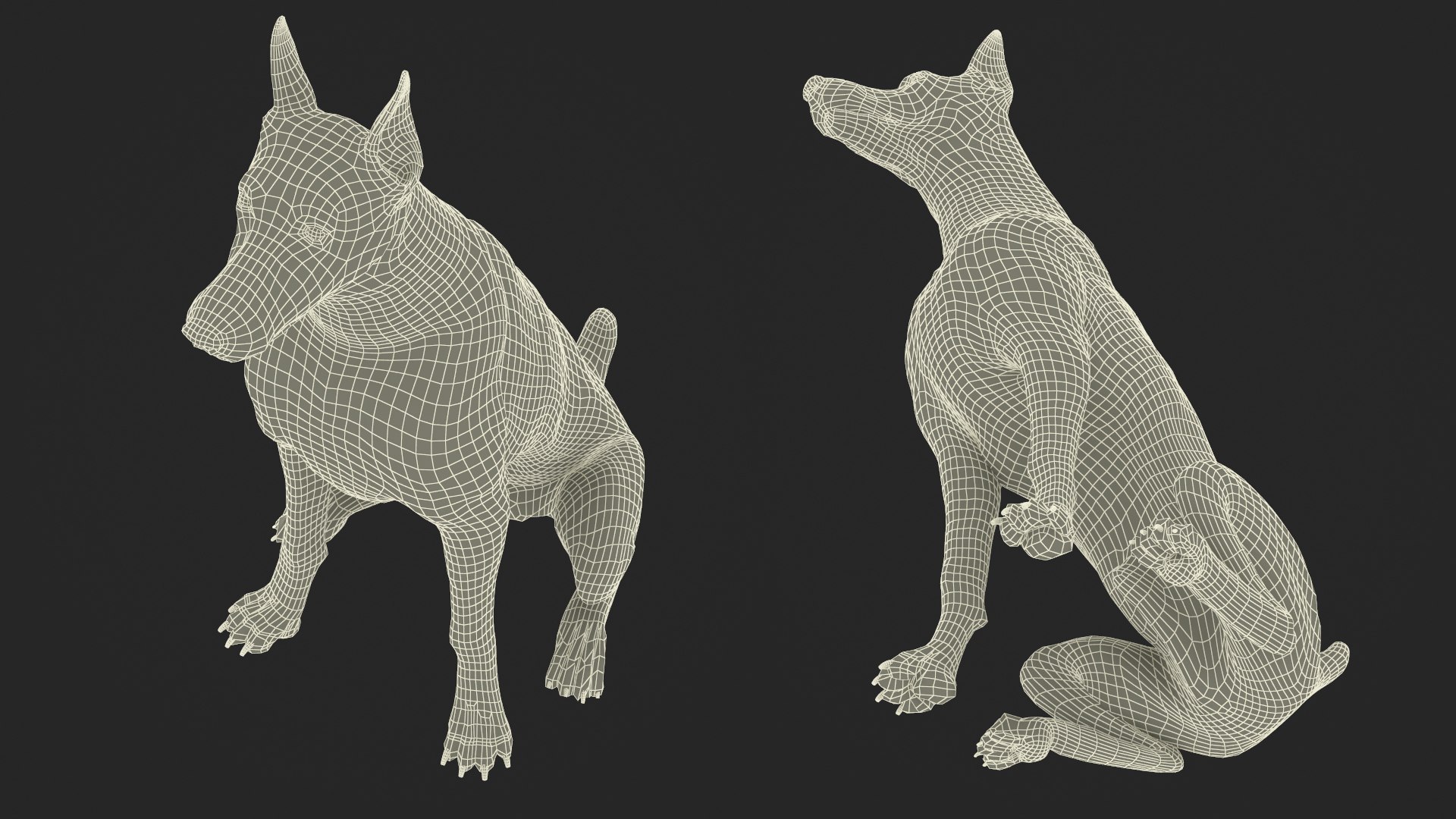 Brown Doberman Pinscher Sits Fur for Cinema 4D 3D https://p.turbosquid.com/ts-thumb/1u/dP0egt/VW/brown_doberman_pinscher_sits_fur_017/jpg/1745568915/1920x1080/fit_q87/7c51ce642ffa92c3da438a35045b08d05d929b4b/brown_doberman_pinscher_sits_fur_017.jpg