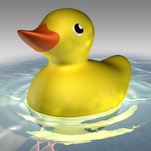 rubber duck_C4D