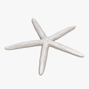 Finger Starfish model