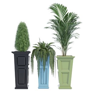 3D Amazon tall model