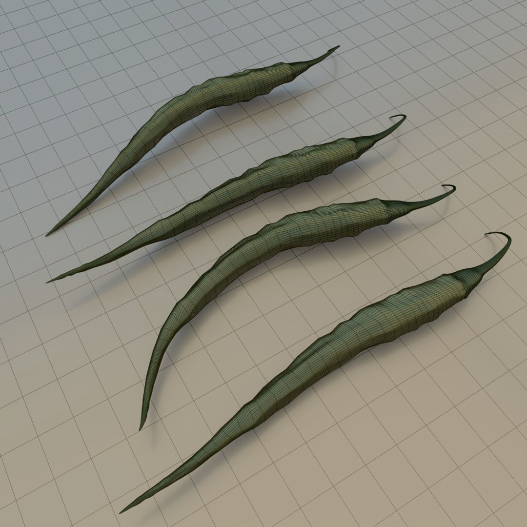 capsicum pepper 3d obj https://p.turbosquid.com/ts-thumb/1v/FsOuwE/4pu4JuC8/pepper09/jpg/1466002115/1920x1080/fit_q87/c7aa0351958fa8046e34f0885ff6b118f519e845/pepper09.jpg