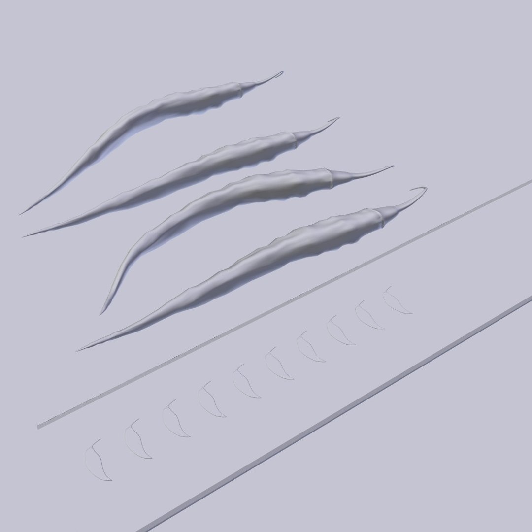capsicum pepper 3d obj https://p.turbosquid.com/ts-thumb/1v/FsOuwE/dBCOZtKC/pepper04/jpg/1466002115/1920x1080/fit_q87/a73b20cf1d0cabad1f19c978b1b59b29deceaf84/pepper04.jpg