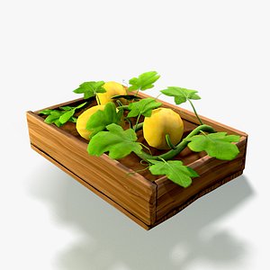Melon