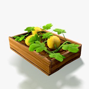 Melon