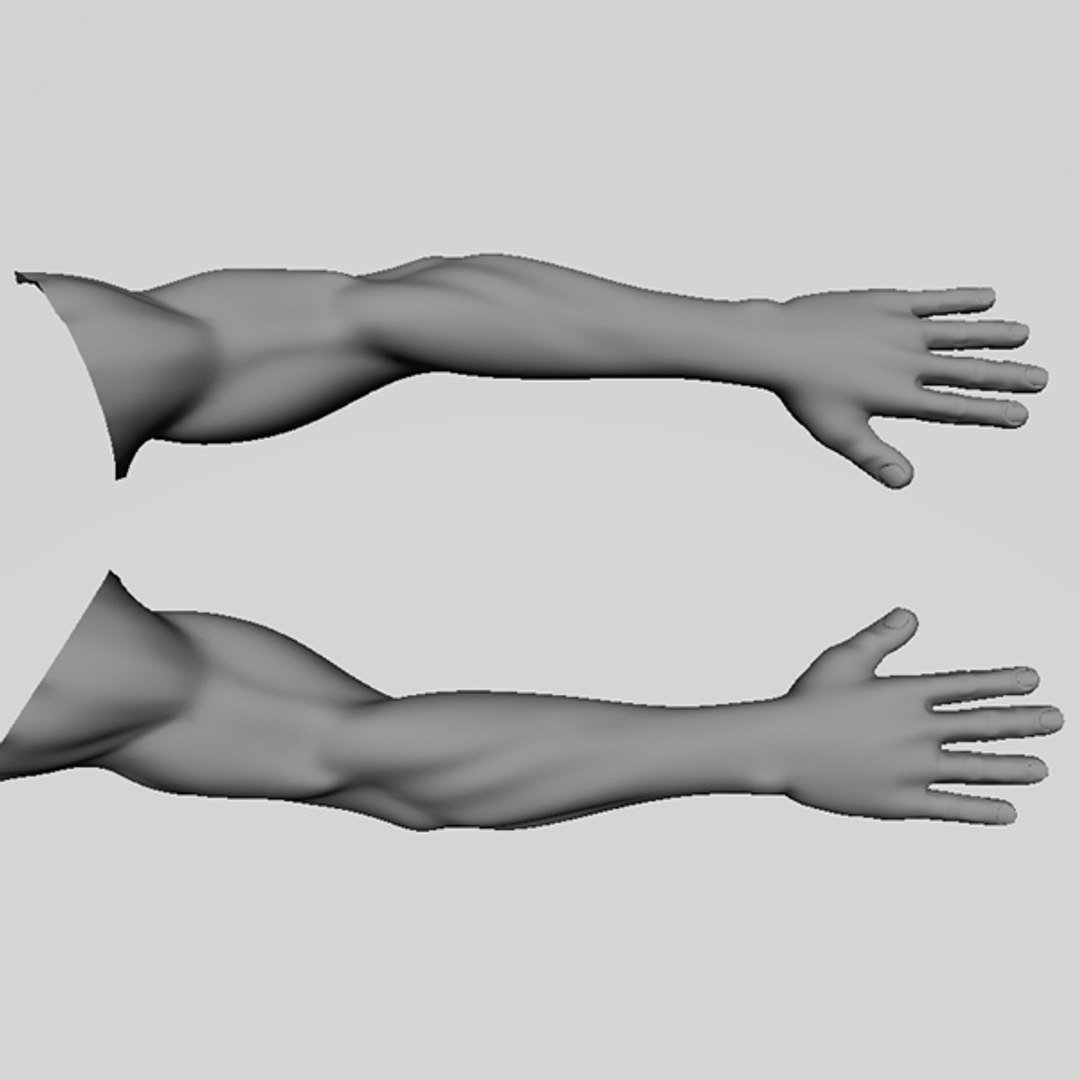 Realistic Human Arm 3d Model 4106