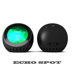 3D echo spot