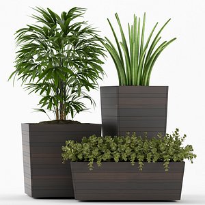 plants set 3D