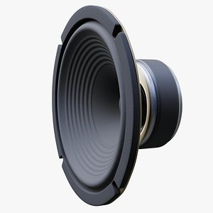 12-Inch Loudspeaker Instrumental