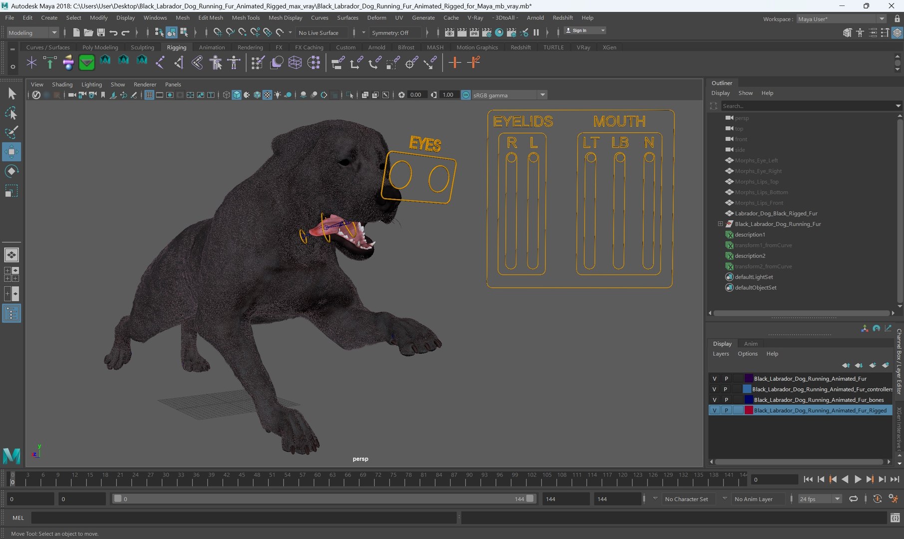 3D Black Labrador Dog Running Fur Animated Rigged for Maya model https://p.turbosquid.com/ts-thumb/1v/xSdqt4/7N/black_labrador_dog_running_fur_animated_rigged_for_maya_003/jpg/1754873936/1920x1080/fit_q87/d2555af3ad281e6ff7761a03a59c056d18fa5fe6/black_labrador_dog_running_fur_animated_rigged_for_maya_003.jpg