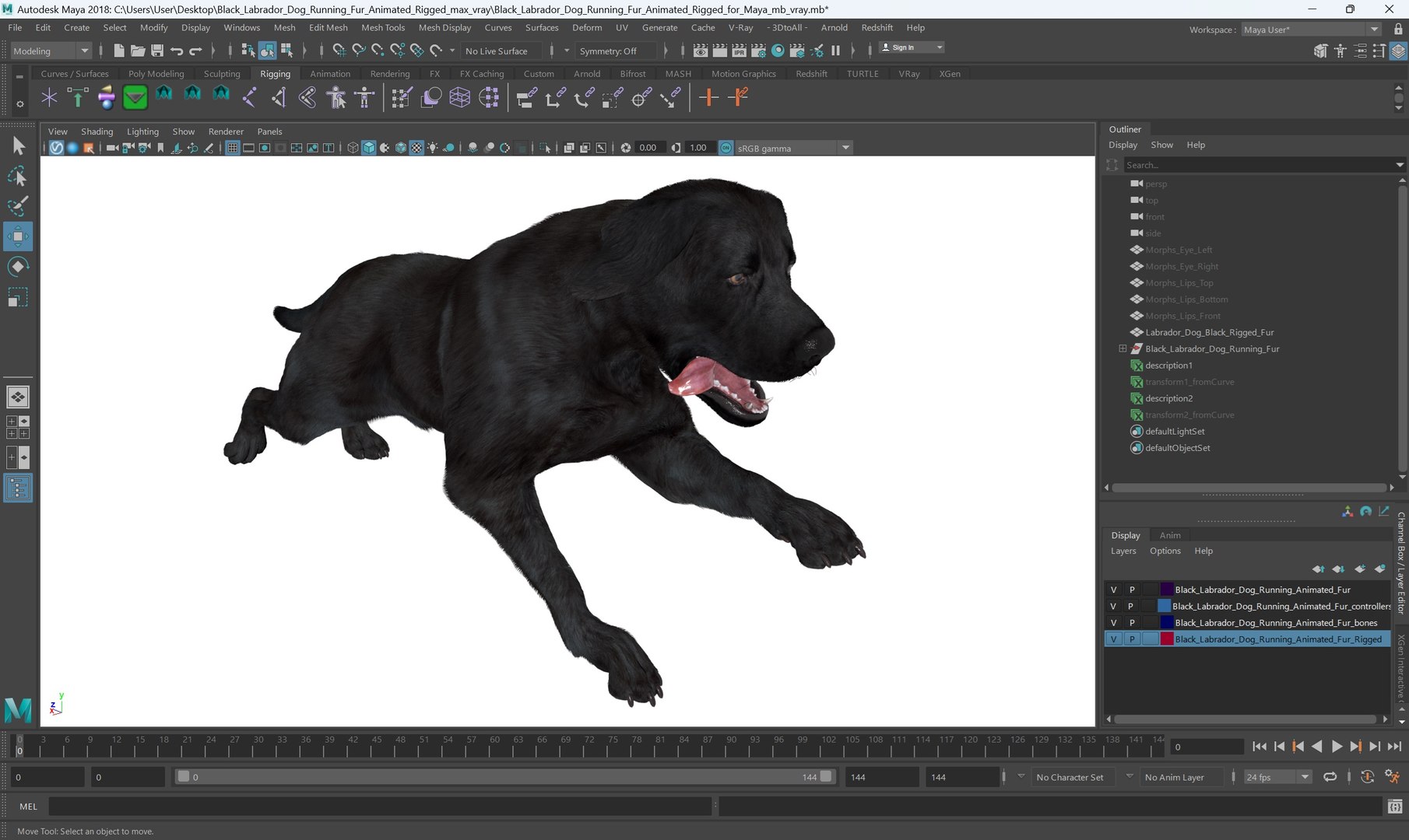 3D Black Labrador Dog Running Fur Animated Rigged for Maya model https://p.turbosquid.com/ts-thumb/1v/xSdqt4/Ap/black_labrador_dog_running_fur_animated_rigged_for_maya_006/jpg/1754873956/1920x1080/fit_q87/8d46d4a6276c37b9d13dae69da9c0fd5e31fb7f7/black_labrador_dog_running_fur_animated_rigged_for_maya_006.jpg