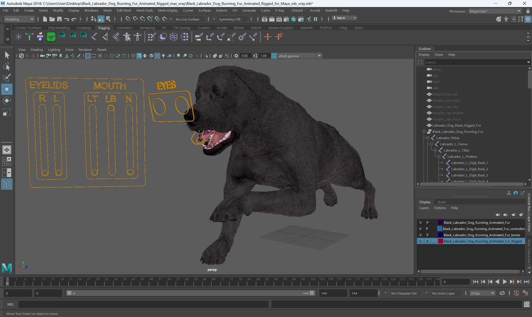 3D Black Labrador Dog Running Fur Animated Rigged for Maya model https://p.turbosquid.com/ts-thumb/1v/xSdqt4/BH/black_labrador_dog_running_fur_animated_rigged_for_maya_007/jpg/1754873962/1920x1080/fit_q87/c2032cd8ab6cf9d298a6c6b317d07e66fa19fb5d/black_labrador_dog_running_fur_animated_rigged_for_maya_007.jpg