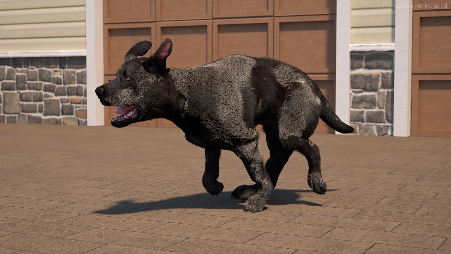 3D Black Labrador Dog Running Fur Animated Rigged for Maya model https://p.turbosquid.com/ts-thumb/1v/xSdqt4/l6/black_labrador_dog_running_fur_animated_rigged_005/jpg/1754873947/1920x1080/fit_q87/64a8fe05d2df6f4766603155d970885cafbbbf2a/black_labrador_dog_running_fur_animated_rigged_005.jpg