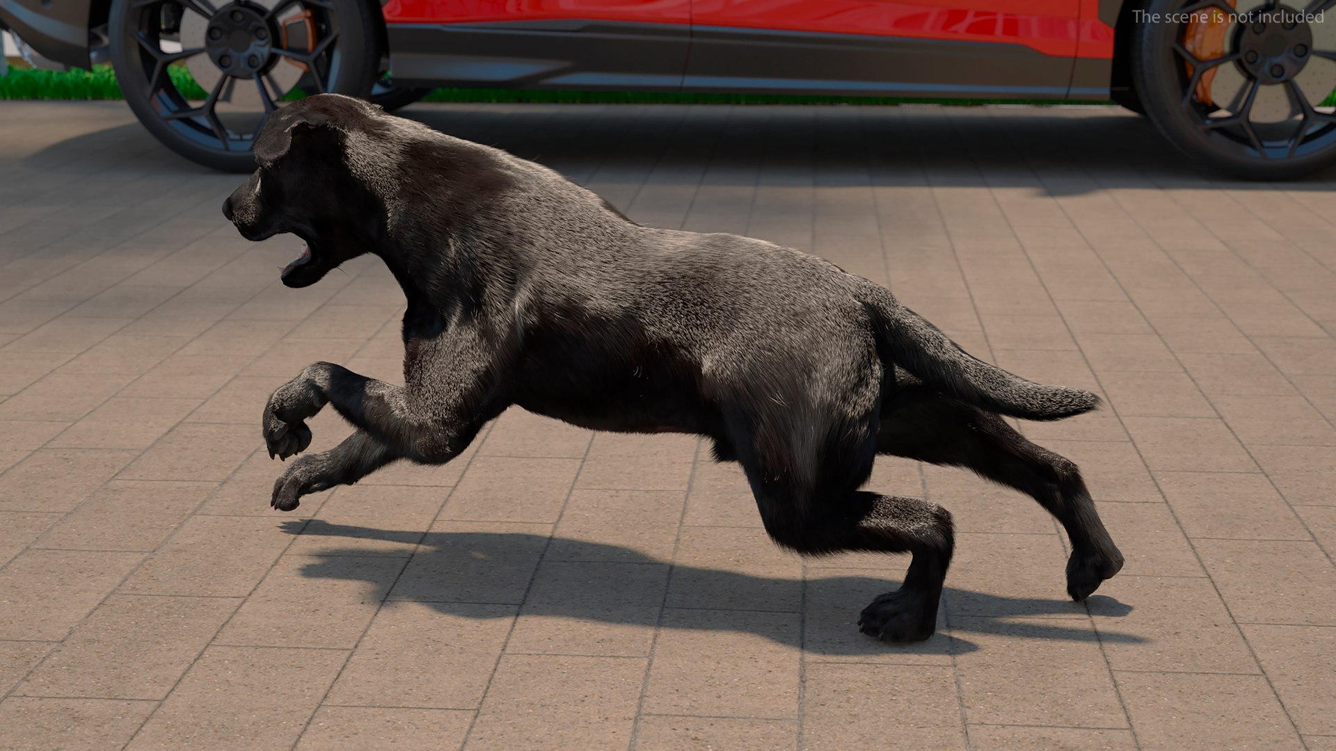 3D Black Labrador Dog Running Fur Animated Rigged for Maya model https://p.turbosquid.com/ts-thumb/1v/xSdqt4/sh/black_labrador_dog_running_fur_animated_rigged_004/jpg/1754873940/1920x1080/fit_q87/56d93a37d55ea628dbdca10d4d94a8a1300c5921/black_labrador_dog_running_fur_animated_rigged_004.jpg