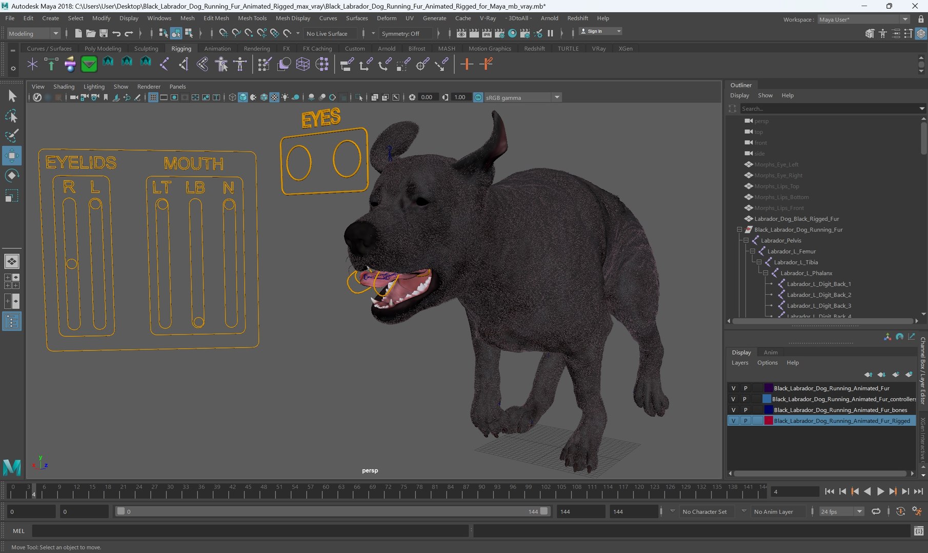 3D Black Labrador Dog Running Fur Animated Rigged for Maya model https://p.turbosquid.com/ts-thumb/1v/xSdqt4/tm/black_labrador_dog_running_fur_animated_rigged_for_maya_008/jpg/1754873968/1920x1080/fit_q87/a2d81c0acabcadd6d24168f17f5296c38c78fbec/black_labrador_dog_running_fur_animated_rigged_for_maya_008.jpg