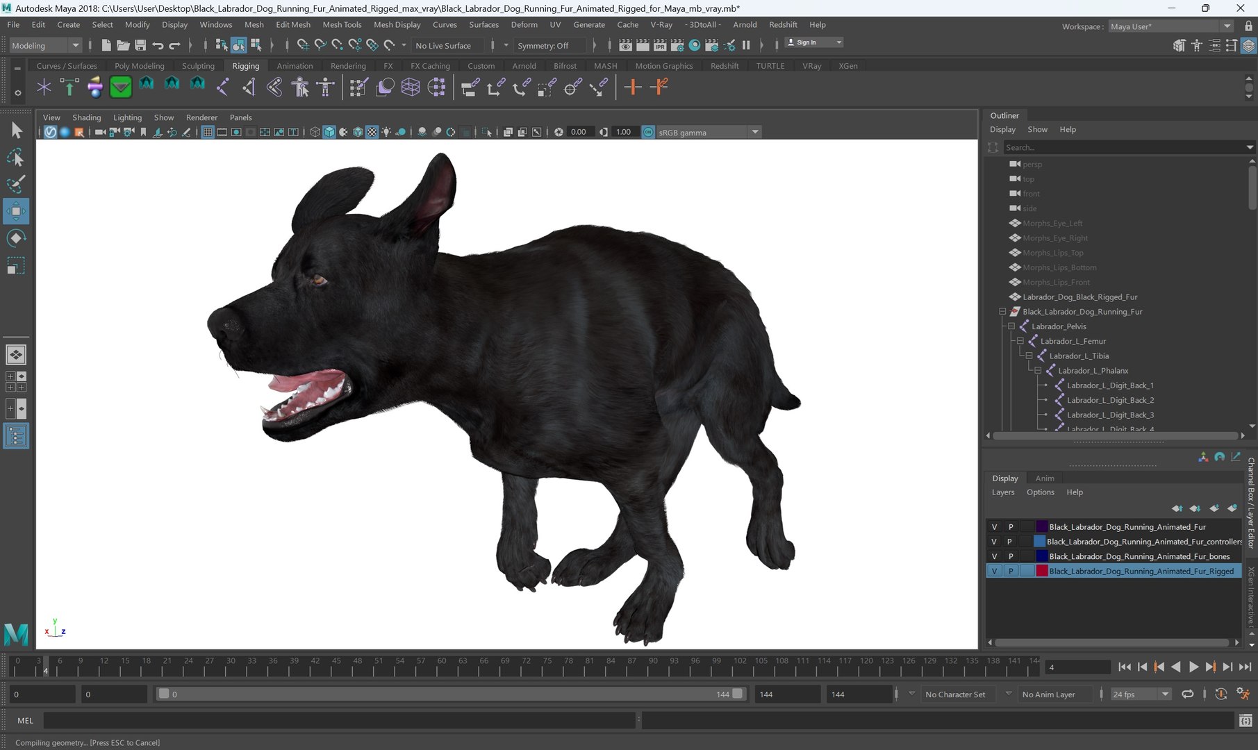 3D Black Labrador Dog Running Fur Animated Rigged for Maya model https://p.turbosquid.com/ts-thumb/1v/xSdqt4/uq/black_labrador_dog_running_fur_animated_rigged_for_maya_009/jpg/1754873974/1920x1080/fit_q87/3085ea56476b246d2f785471dcd329d3d7092d79/black_labrador_dog_running_fur_animated_rigged_for_maya_009.jpg