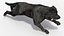Black Labrador Dog Running Fur Animated Rigged for Maya