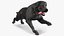 Black Labrador Dog Running Fur Animated Rigged for Maya
