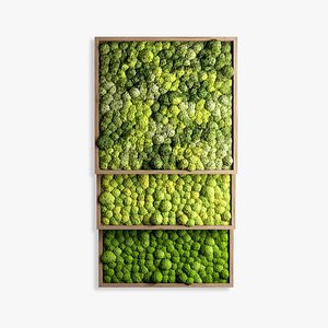 3d panels moss