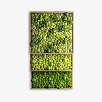 panel moss