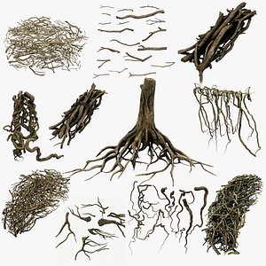 Twig Tree Roots PBR