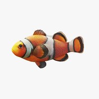 Clownfish - Static PBR