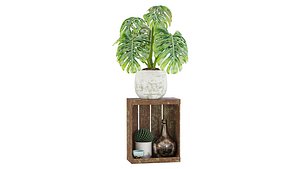 3D PLant 02 model