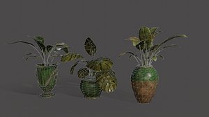 Lib Flowers