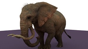 elephant rigged 3D model