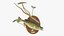 Walleye Fish Mount