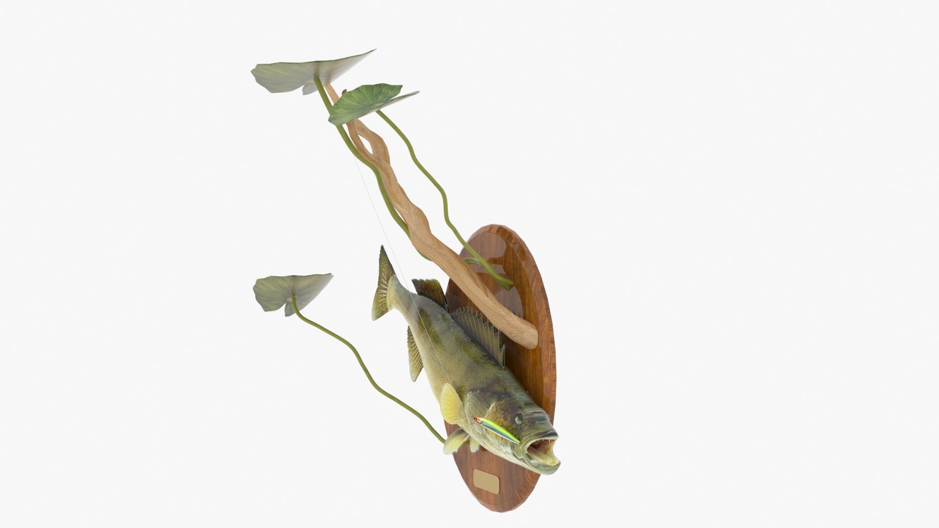 Walleye Fish Mount 3D model https://p.turbosquid.com/ts-thumb/1w/vflXSF/B1/walleyeplaquemount_02/jpg/1638256861/1920x1080/fit_q87/583046aee4fd1b4a18bfc83afd63cad7f416a2d2/walleyeplaquemount_02.jpg