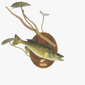 Walleye Fish Mount 3D model