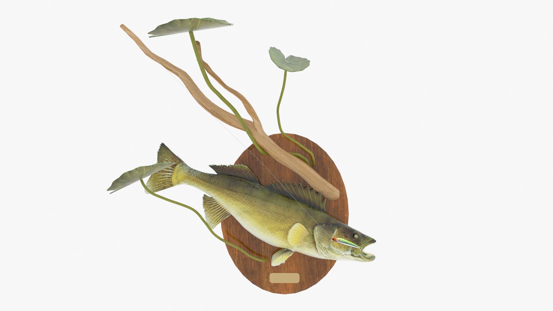 Walleye Fish Mount 3D Model - TurboSquid 1821124